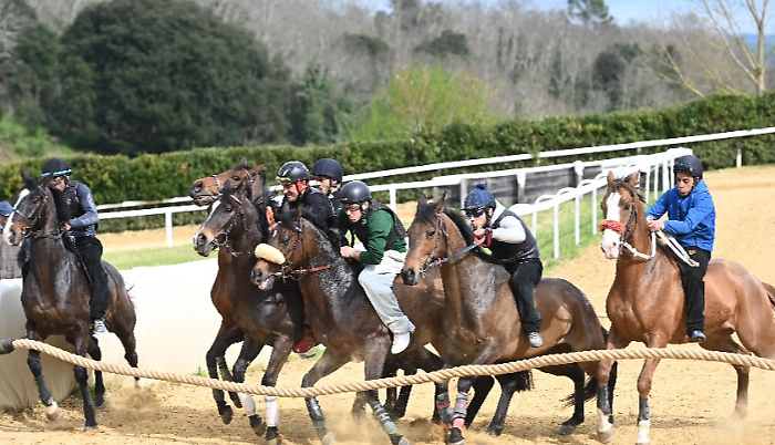 Lavori addestramento