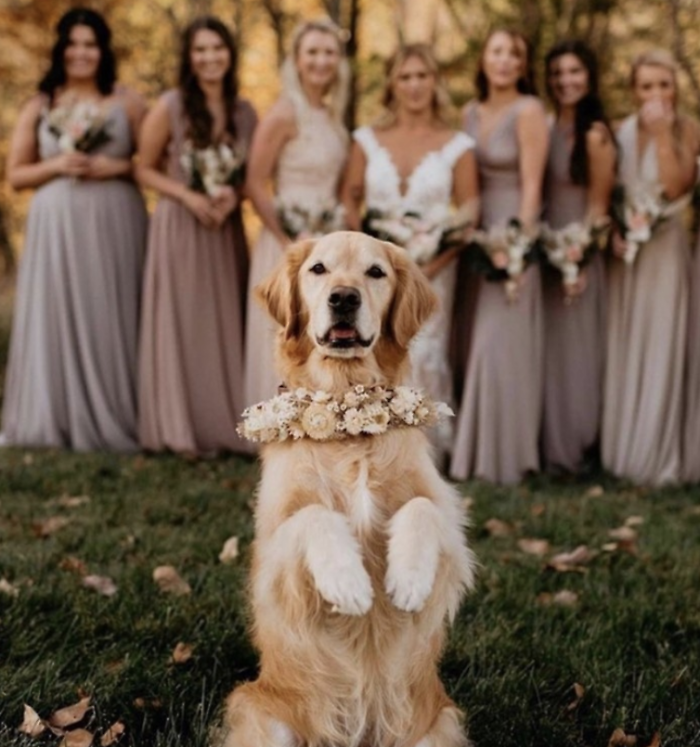 Tutte le tendenze matrimoni  per il 2025: la moda sposa,  i colori, le decorazioni e le nuove figure professionali