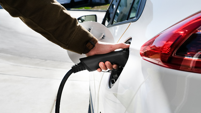 Il cimitero dell'auto &egrave; il parco giochi per gli stranieri