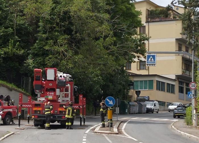 albero caduto viale sclavo pompieri vigili del fuoco siena