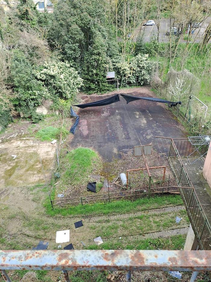ex campino Ovile