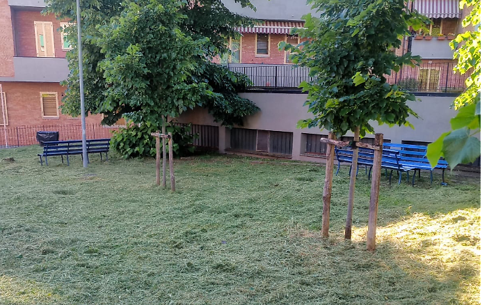 verde tagliato via bonci siena