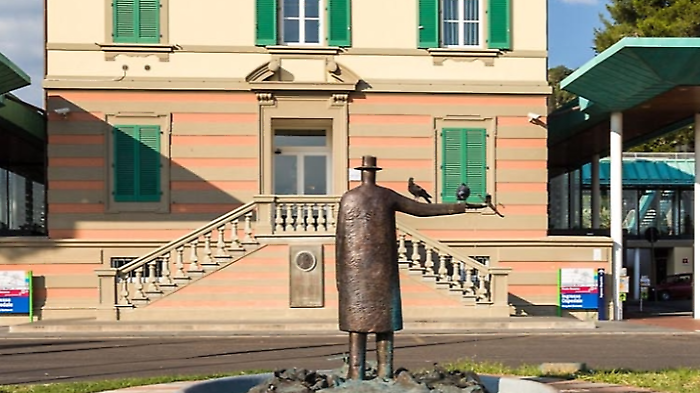 Ospedale Meyer