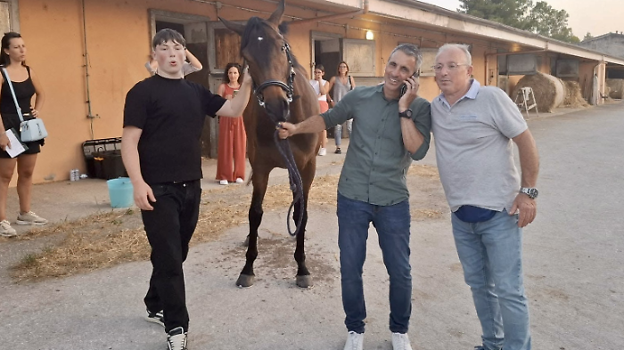 cavallo mirò