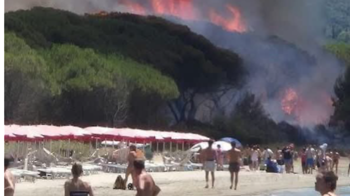 Incendio pineta