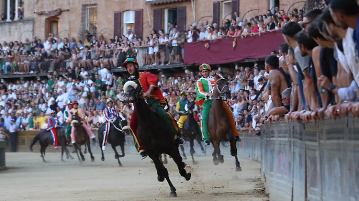 Palio