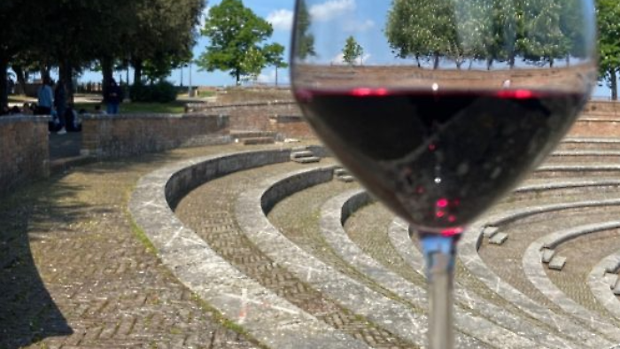 Saranno Famosi nel vino