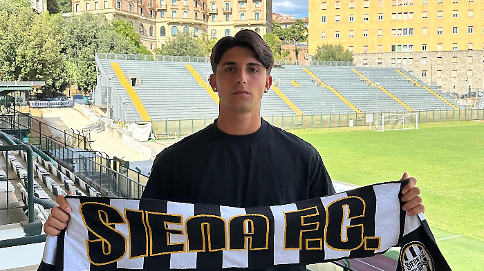 Di Vincenzo