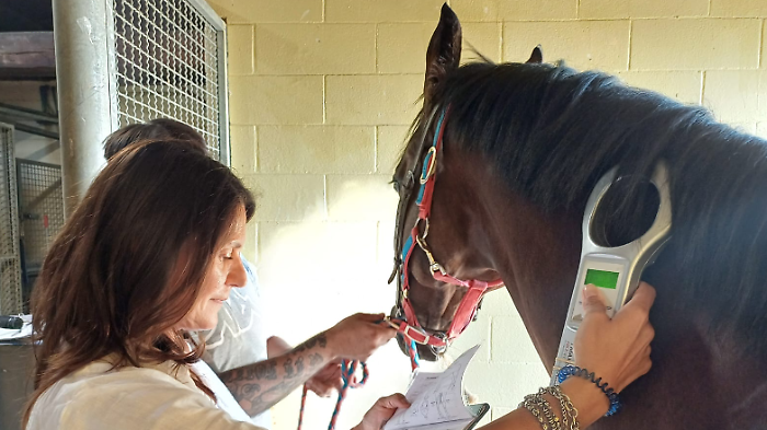 Veterinari Asl Tse