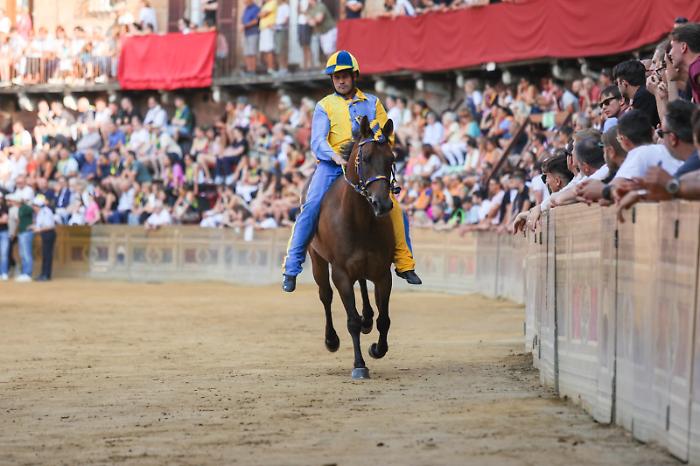 Tartuca provaccia - Palio agosto 2025