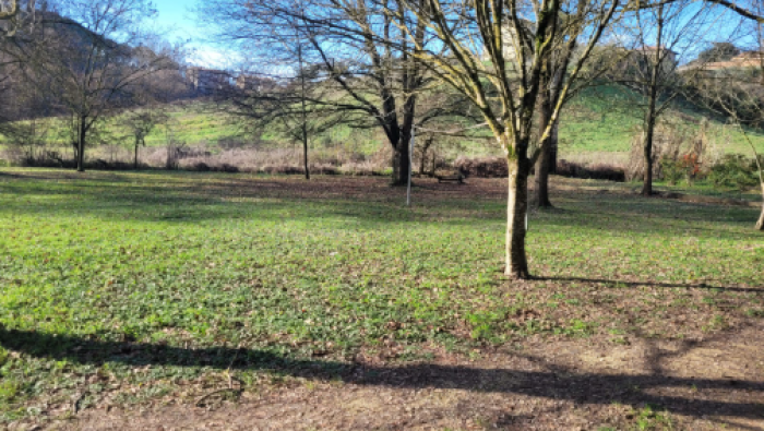 Parco via Aretina