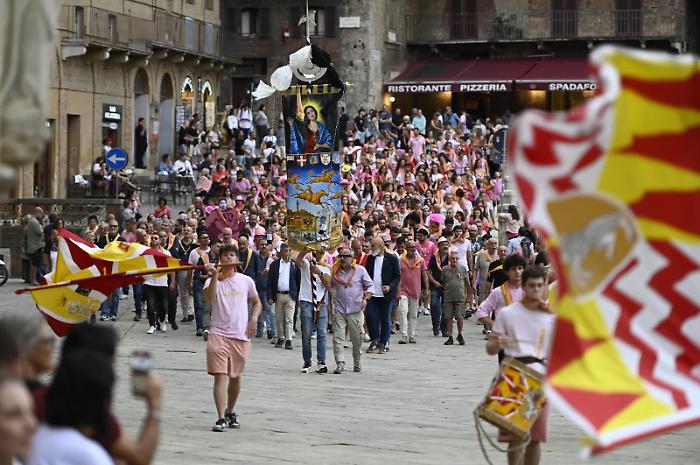 Valdimontone