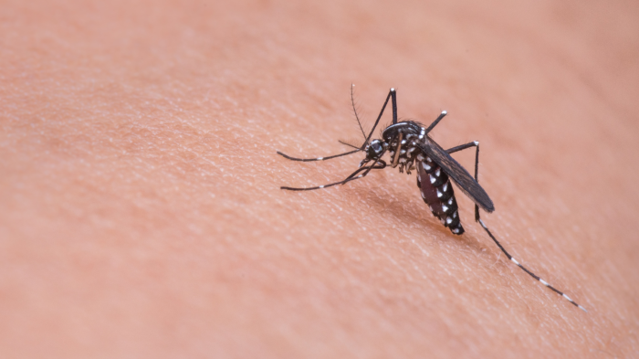West Nile