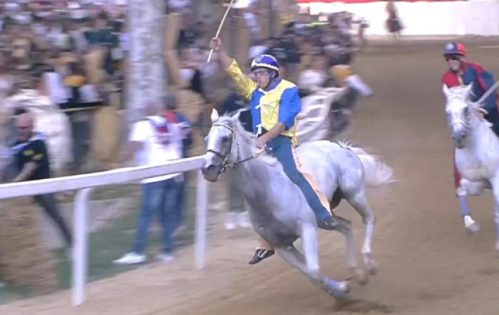 Tittia Palio di Asti