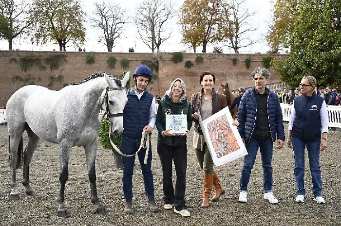 rassegna del puledro anglo arabo