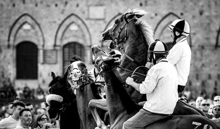 foto tolu foto mosse