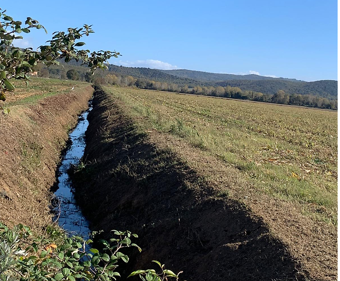 Manutenzione per il fosso della Fossetta: sicurezza e tutela ambientale