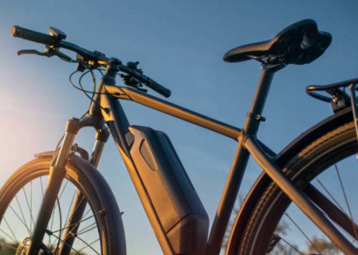 Furto bici elettrica