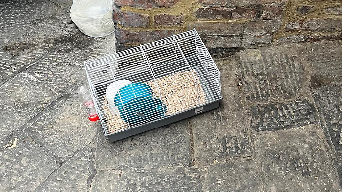 Gabbietta criceto morto