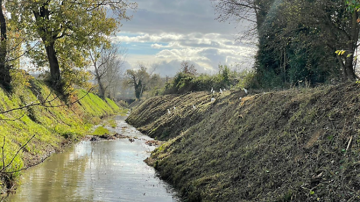 Consorzio Cb6, lavori sul torrente Rosia