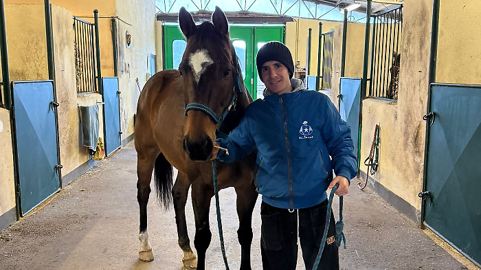 Virgola scuderia di Brio