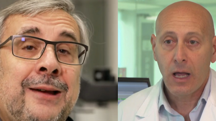 Delitto di Garlasco, scontro tra periti sul dna sulle unghie di Chiara Poggi. Linarello contro Capra: "O sono un pazzo o leggo male"