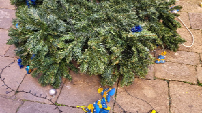 Tartuca raid vandali