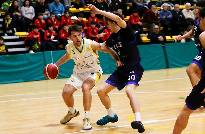 Costone - Borgomanero