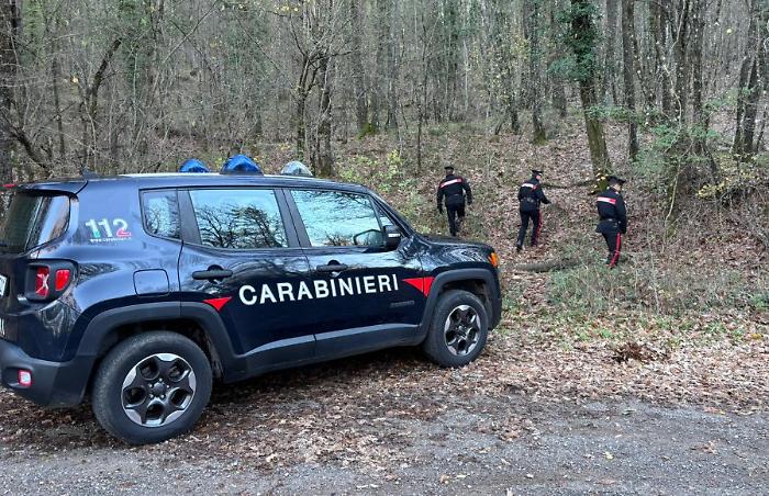 blitz dei carabinieri droga boschi