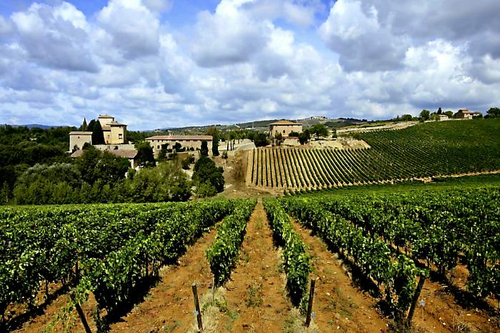 aziende vitivinicole toscane