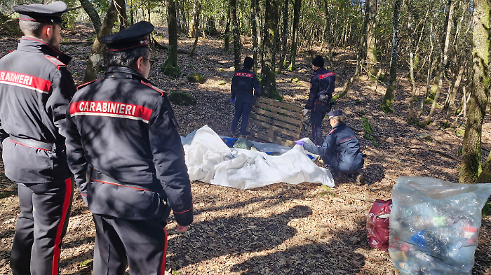Blitz dei carabinieri nei boschi