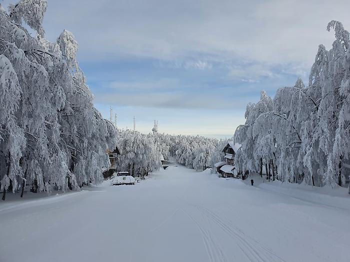 Neve marzolina Neve marzolina