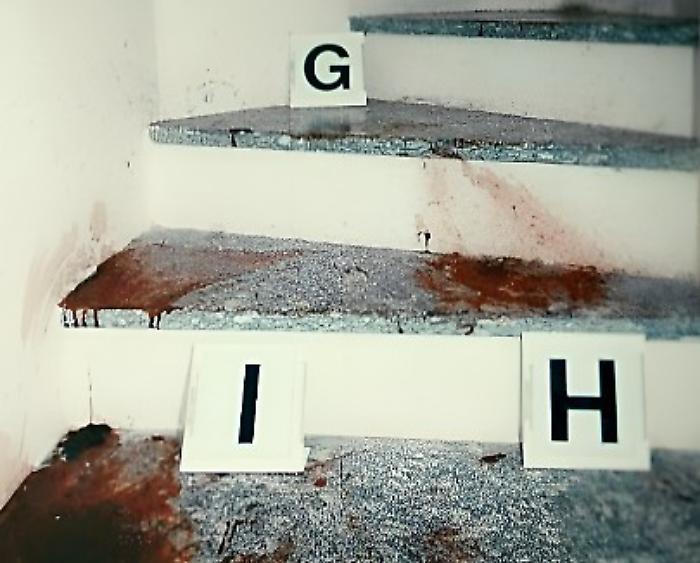 Sangue villetta di via Pascoli