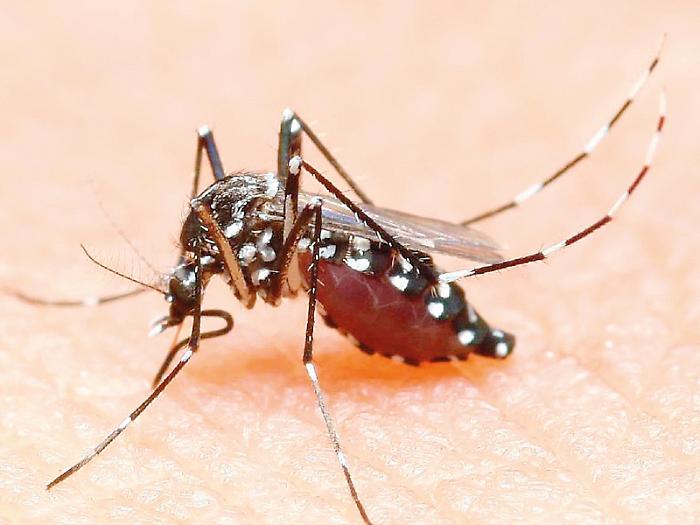 West Nile