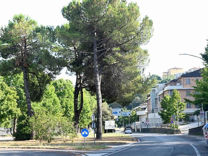 Viale Bracci
