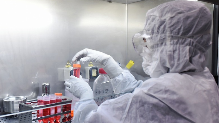 Export provincia di Siena