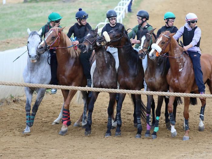 Mociano addestramento