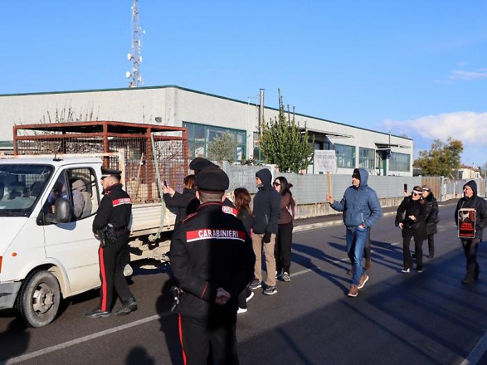 Gli attivisti in protesta