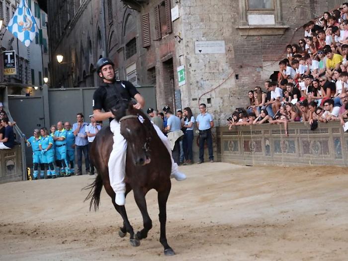 Enrico Bruschelli, detto Bellocchio
