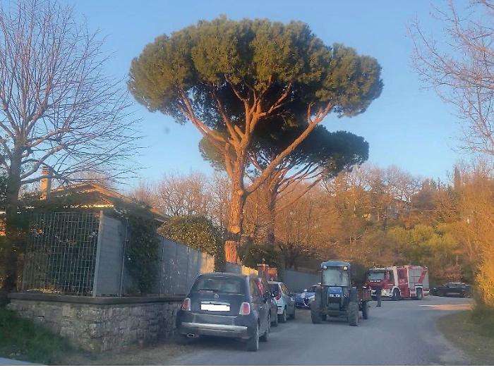 Tragico rogo, morti padre e figlio