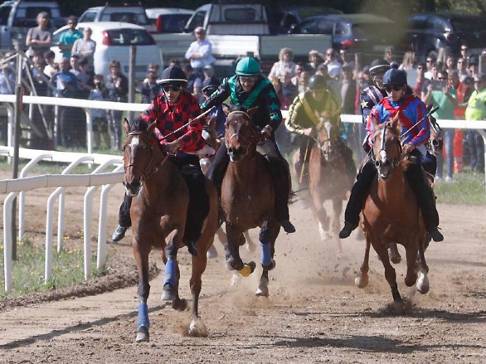 lavori di addestramento a Monticiano