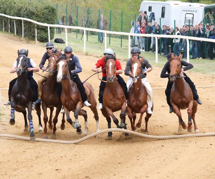 lavori di addestramento a Mociano