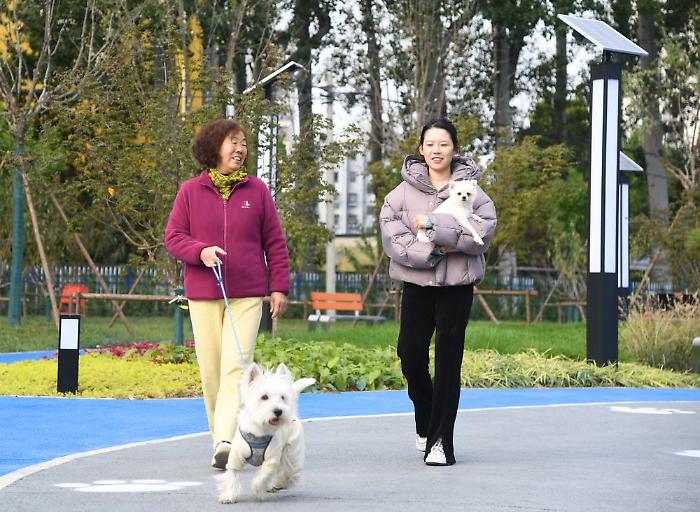 Cina, Shandong spinge sull'innovazione per far crescere l'economia pet