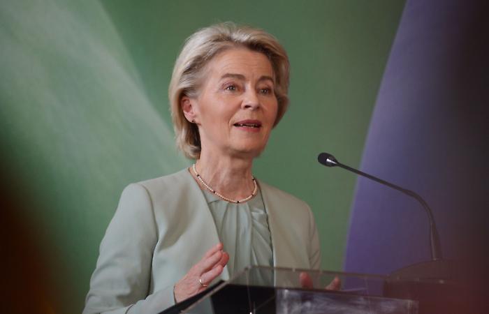 Von der Leyen "I nuovi dazi Usa sono un errore"