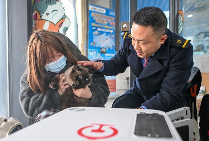 Cina, gli animali domestici adesso possono viaggiare sui treni ad alta velocit&agrave;